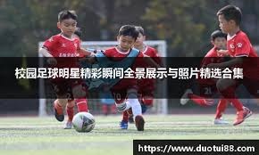 大谷翔平赛季稳定性分析